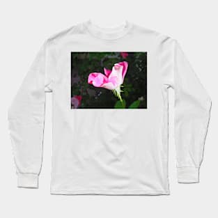 RV Garden Study 5 Long Sleeve T-Shirt